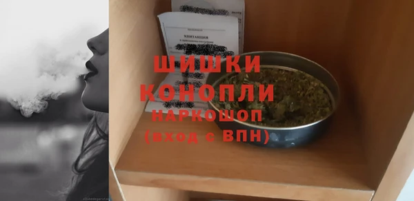 гашик Горняк