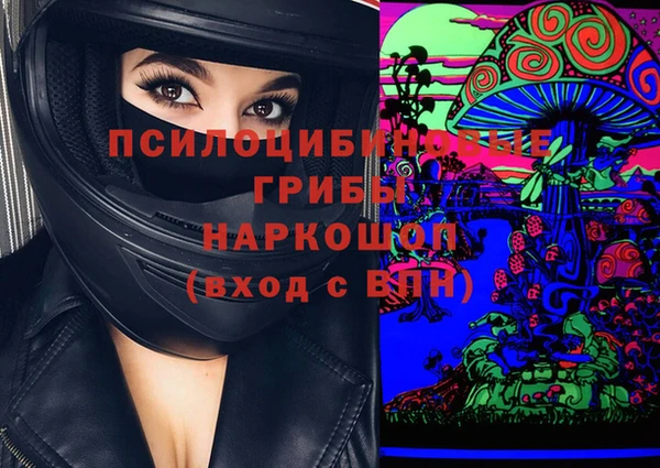 ГАЛЛЮЦИНОГЕННЫЕ ГРИБЫ Горнозаводск