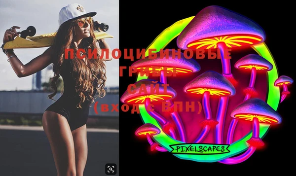 гашик Горняк