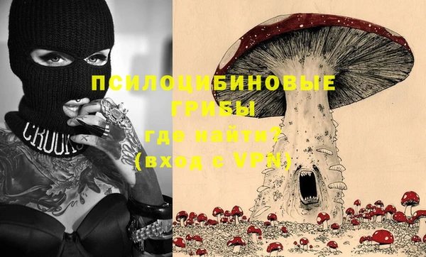 mdpv Горно-Алтайск