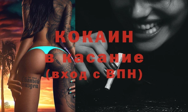 гашик Горняк