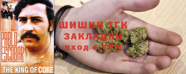 гашик Горняк